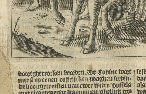 Earliest Depiction of Bali, Dutch Engraving of the King of Bali, c.1601, close-up 6