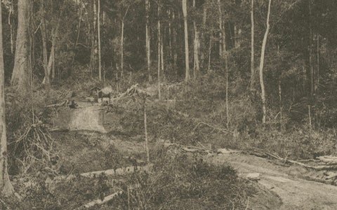 Stabat Government Bridge & Forest Road, Kleingrothe Photogravure c.1900, close-up 4
