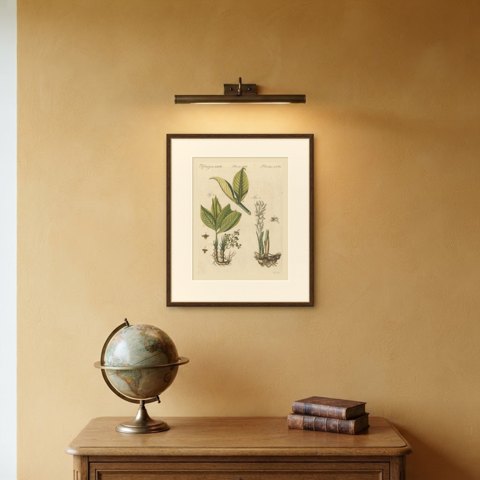 Zedoary and Grains of Paradise Spice Plants, Antique Bertuch Print, circa 1805, shown framed on a wall, true to size