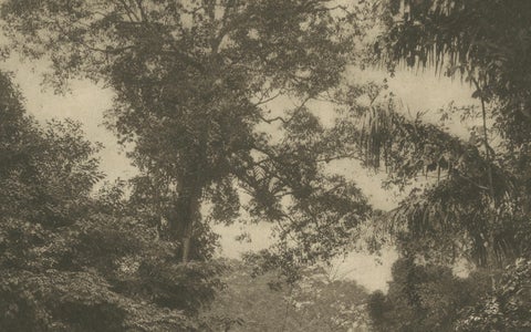 Soengei Belawan River, Medan, C.J. Kleingrothe Photo, Dutch East Indies c.1910, close-up 4