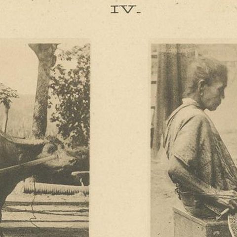 Twelve Prints of Aceh 'Atjeh' Published by E.J. Brill, '1895', close-up 1