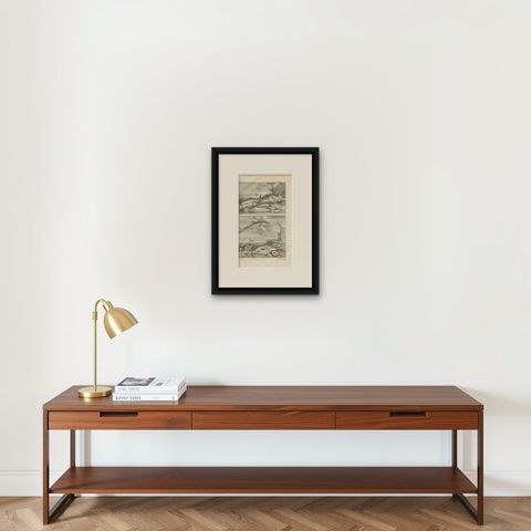 Untitled Antique Print of Fish Species No. 451, Indonesia, 1726, shown framed on a wall, true to size