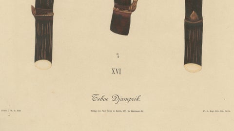 Antique Sugarcane Chromolithograph, Teboe Djampirik, Java 1892, close-up 4
