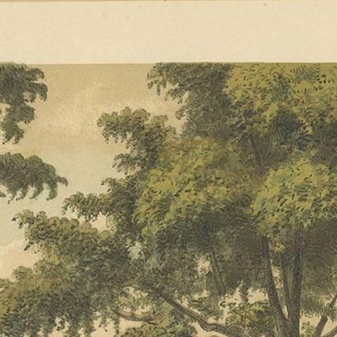 Antique Print of Makassar by M.T.H. Perelaer, 1888, close-up 1