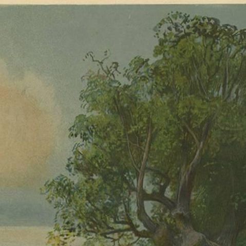 Antique Print 'Schoolplate' of a Rice Field by F.E. Wachsmuth, circa 1900, close-up 1