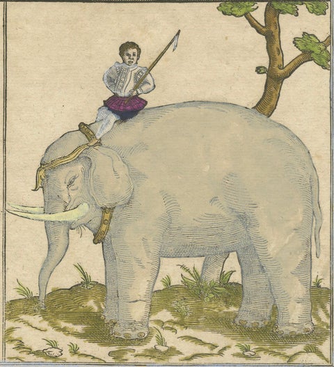 Renaissance Mapping of Sumatra: Featuring Singapore in Münster’s Woodcut, c.1590, close-up 4