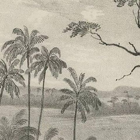 Antique Print of a waterfall near Tondano (Indonesia) by C.W.M. van de Velde, close-up 1