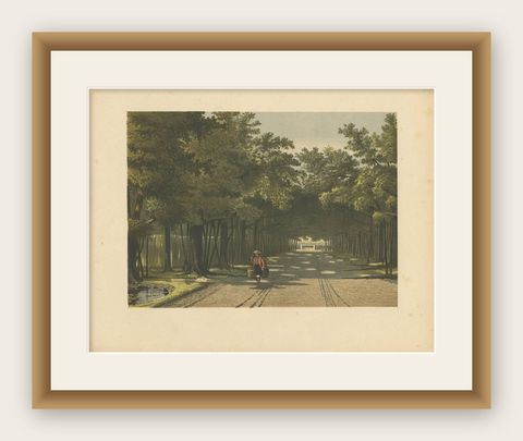 Antique Print of the Royal Arboretum in Batavia by M.T.H. Perelaer, 1888, shown framed