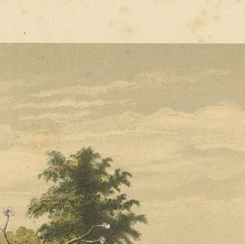 Antique Print of a Funeral Ceremony on Java by M.T.H. Perelaer, 1888, close-up 1