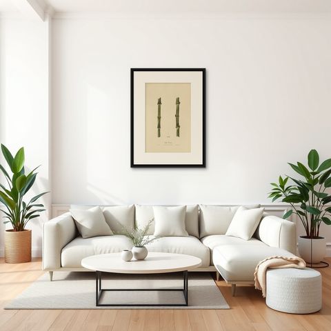 Antique Sugarcane Chromolithograph, Teboe Troeboe, Java 1892, shown framed in a room, true to size