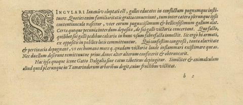 The Cockfight of Java: A 1601 de Bry Engraving of Cultural Pastimes, close-up 3