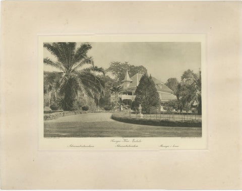 Set of 3 Antique Photogravures of Sumatra Plantations, Deli, Medan Region, 1900, view 4