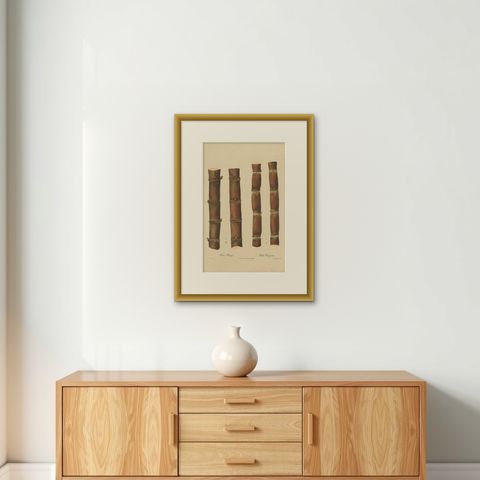 Antique Sugarcane Chromolithograph, Teboe Mangis and Teboe Tangeran, 1892, shown framed on a wall, true to size