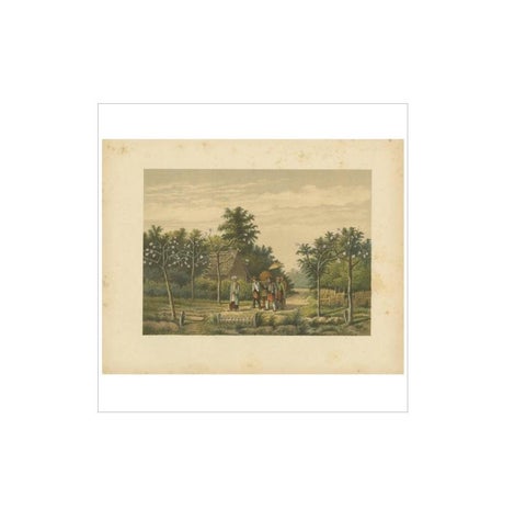 Antique Print of a Funeral Ceremony on Java by M.T.H. Perelaer, 1888, view 4