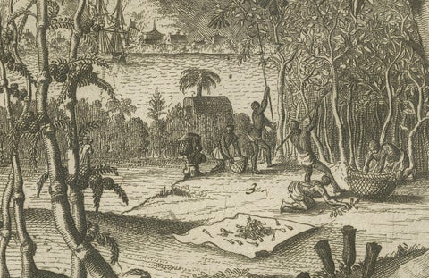 Exotic Bounty: The Spice Lands of the East Indies by R. de Hooghe, circa 1708, close-up 2