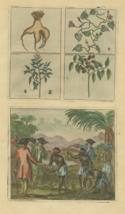 Colored Antique Print of Plants, Trees and Indonesian Natives with VOC Men, 1726, view 3