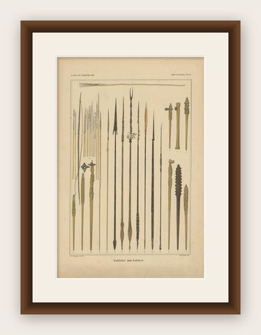 Print with Weapons of Papua 'New Guinea, Indonesia' by Temminck, circa 1840, shown framed