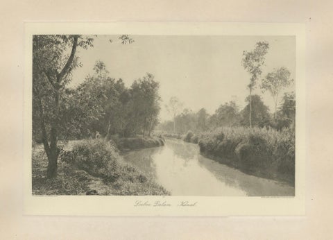 Canal at Loeboe Dalam, Sumatra, C J Kleingrothe, Dutch East Indies c1910, close-up 5