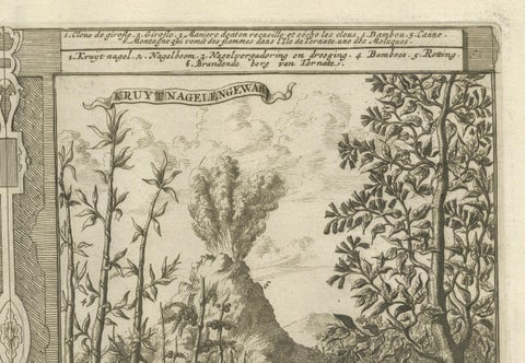 Exotic Bounty: The Spice Lands of the East Indies by R. de Hooghe, circa 1708, close-up 5
