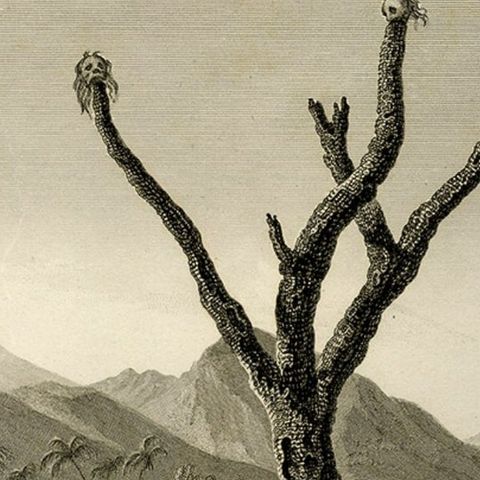 Antique Print of the Tomb of the Raja of Taybeno on the Island Timor, 1825, close-up 2