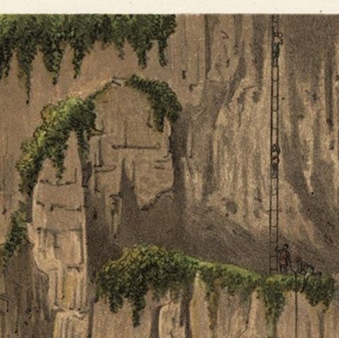 Old Print of Chinese Men searching Eggs on Gunung Balong Mountain, Java, 1888, close-up 1