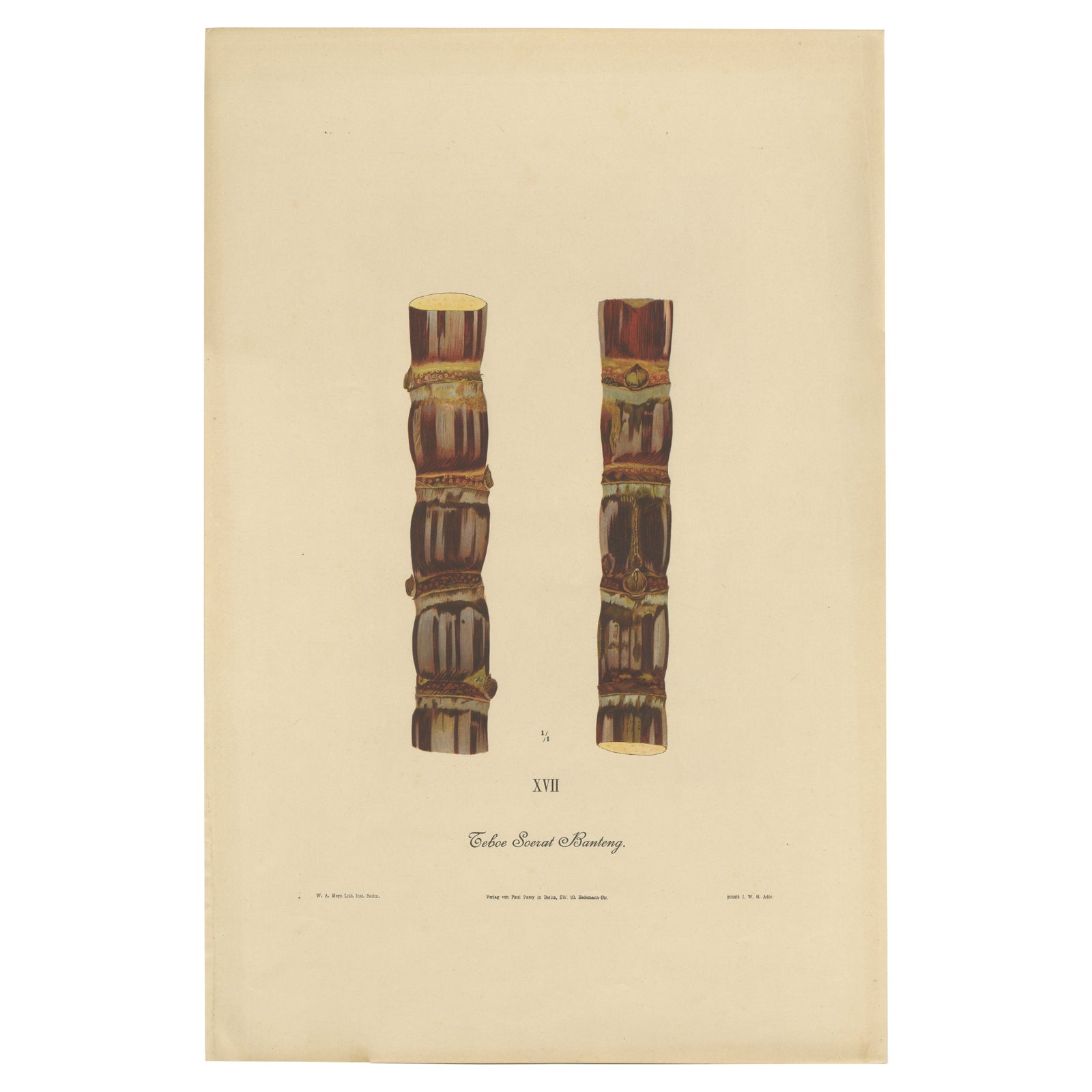 Antique Sugarcane Chromolithograph, Teboe Soerat Banteng, Java 1892
