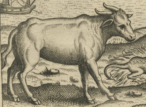Rare Creatures of the East: A 1601 de Bry Copper Engraving from the Indies, close-up 5