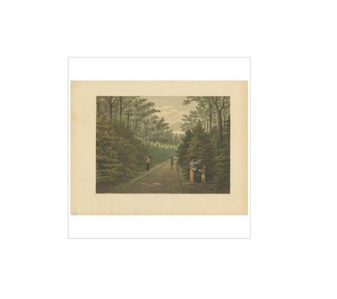 Antique Print of Fruit Farming on Java by M.T.H. Perelaer, 1888, view 3
