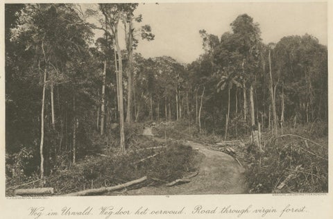 Stabat Government Bridge & Forest Road, Kleingrothe Photogravure c.1900, close-up 3