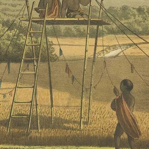 Antique Print of a Rice Field near Tempoeran by M.T.H. Perelaer, 1888, close-up 2