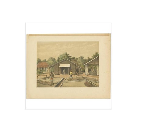 Antique Print of the Coffee Beans production on Sumatra by M.T.H. Perelaer, 1888, view 2