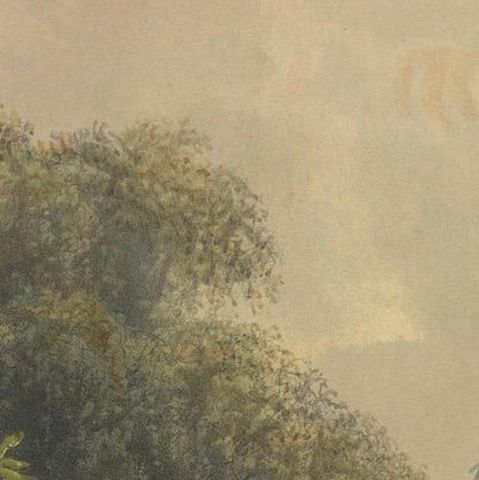 Wild Landscape with Waterfall and Jungle Life, Java Lithograph, Published 1872, close-up 3