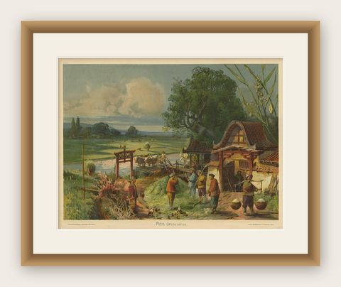 Antique Print 'Schoolplate' of a Rice Field by F.E. Wachsmuth, circa 1900, shown framed