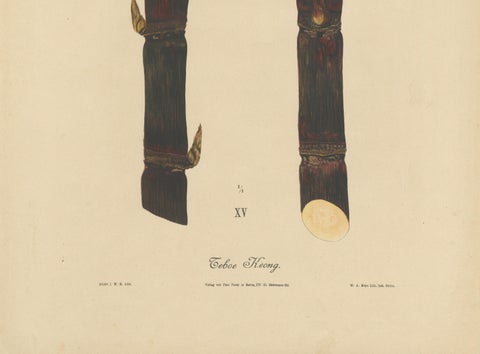 Antique Sugarcane Chromolithograph, Teboe Keong, Java 1892, close-up 2