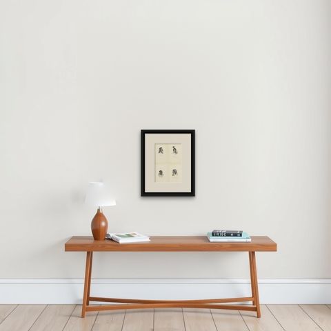 Set of 4 Antique Prints of Natives of Timor, Tahiti, Tasmania & New Zealand 1845, shown framed on a wall, true to size