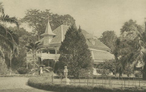 Set of 3 Antique Photogravures of Sumatra Plantations, Deli, Medan Region, 1900, close-up 4