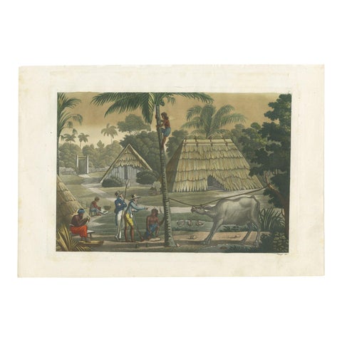 Antique Print of Timor Island Near Kupang by Ferrario, '1831'