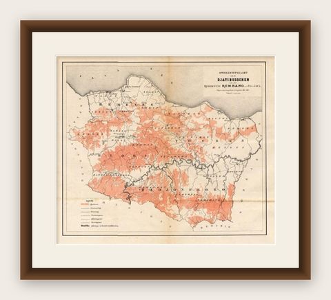 Antique Map of the Djati 'teak wood' Forest Near Rembang, Java by Stemler, 1875, shown framed