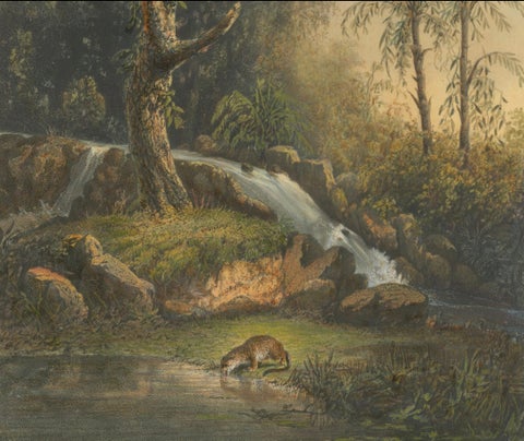 Wild Landscape with Waterfall and Jungle Life, Java Lithograph, Published 1872, close-up 2