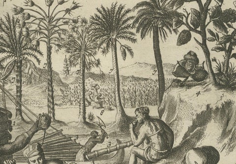 Global Harvests and Crafts: From the East Indies to Chinese Lacquerwork, c. 1708, close-up 4