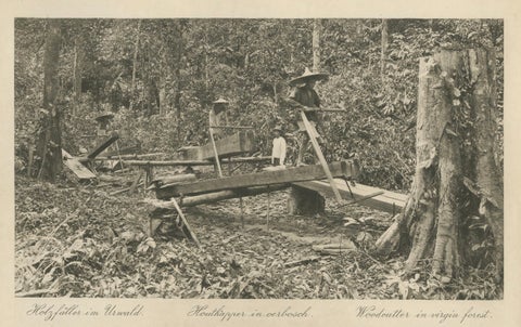 Logging Elephants, Lau Boentoe, Antique Dutch East Indies Photo c.1910, close-up 2