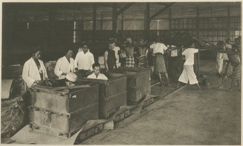 Tobacco Fermentation & Packing, Deli, Sumatra, Kleingrothe, c.1900, close-up 3