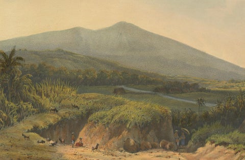 Mountain Landscape near Kedong Badak, Rare Java Lithograph from 1872, close-up 1