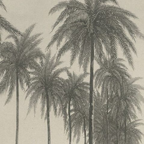 Rare Chine-collé Aquatint of Banyuwangi, East Java, Indonesia, 1835, close-up 2