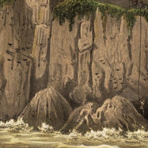Old Print of Chinese Men searching Eggs on Gunung Balong Mountain, Java, 1888, close-up 2
