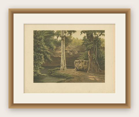 Antique Print of the Djati Forest by M.T.H. Perelaer, 1888, shown framed