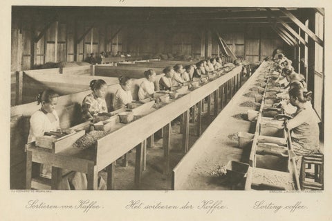Coffee Establishment Girsahan & Sorting Coffee, Antique Photos Sumatra, c.1900, close-up 5