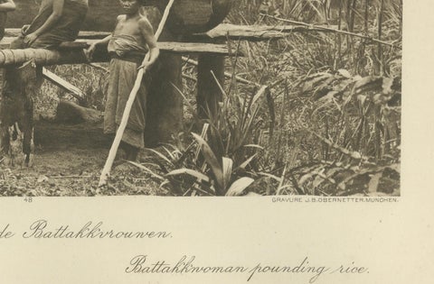 Batik, Sifting Rice & Women Working, Antique Photogravure of Batak People 1900, close-up 1