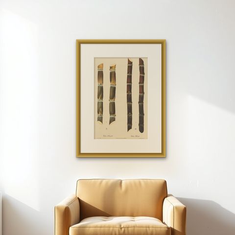 Antique Sugarcane Chromolithograph, Teboe Rapooh and Teboe Merah, 1892, shown framed on a wall, true to size