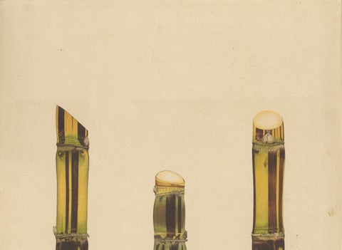 Antique Sugarcane Chromolithograph, Teboe Soerat Njaplong, Java 1892, close-up 3